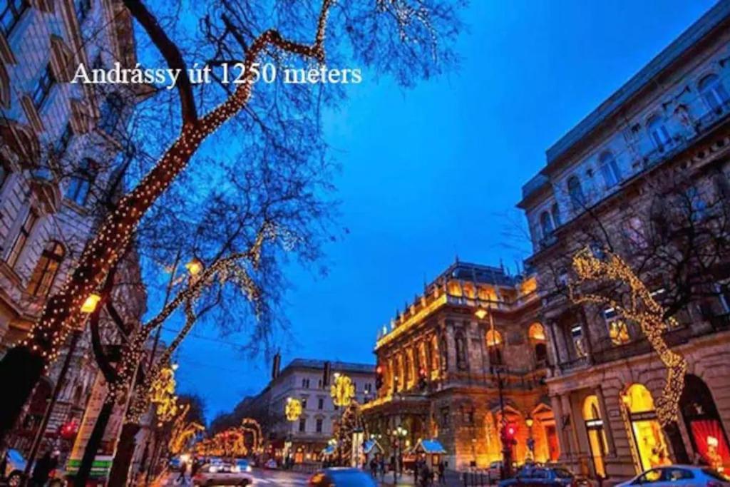 Keleti Apartment City Center Big Flat Bedroom Private Use 布达佩斯 外观 照片